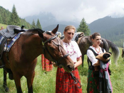 CZERWCOWA DOLINA CHOCHOŁOWSKA - zdjęcie12