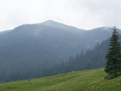 CZERWCOWA DOLINA CHOCHOŁOWSKA - zdjęcie8