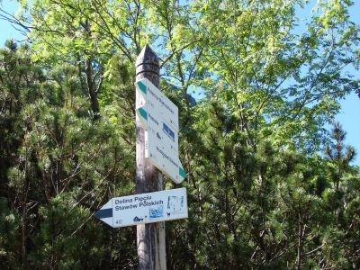 Tatry rodzinnie - zdjęcie1