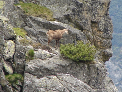 Tatry rodzinnie - zdjęcie10