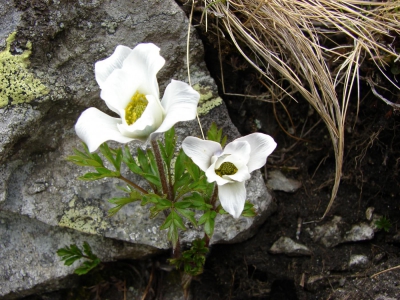 Tatry rodzinnie - zdjęcie9