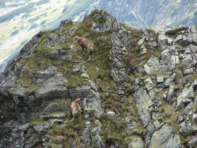 Tatry rodzinnie - zdjęcie11