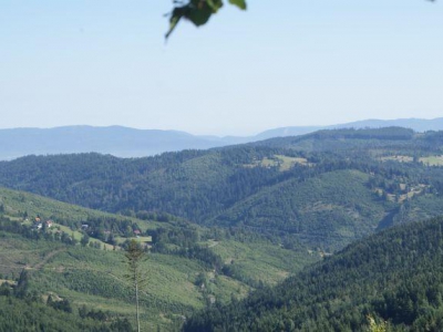 Fotorelacja z doznakowania szlaku papieskiego - zdjęcie3