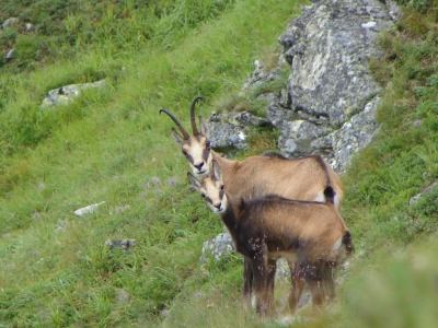 Słowackie Tatry Zachodnie - zdjęcie4