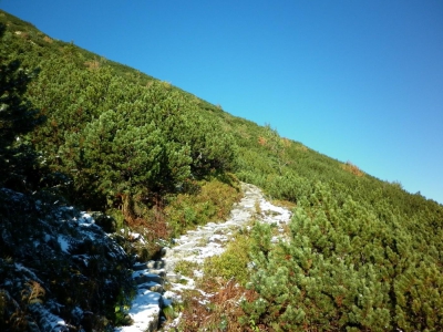 Tatry w zimowej scenerii - zdjęcie3