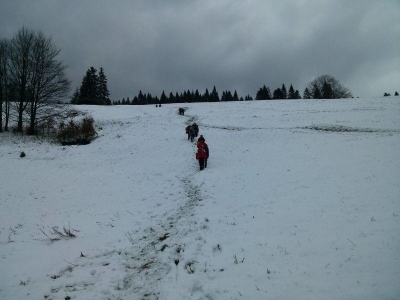 Wycieczka na Jaworzynę Krynicką - zdjęcie4