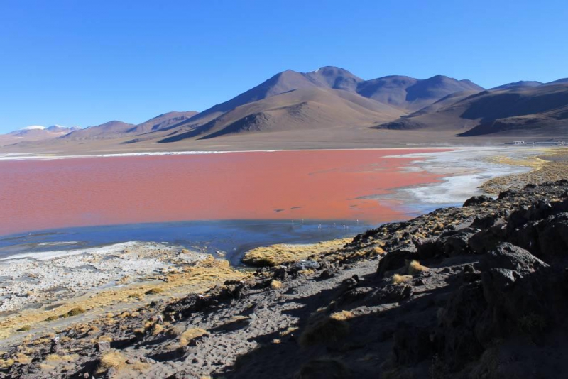 Boliwia i Peru z ks. Krzysztofem