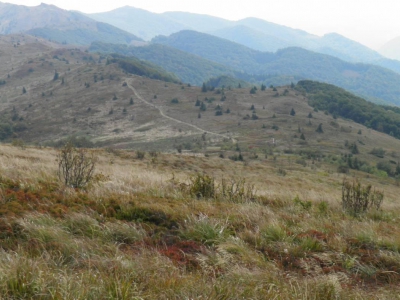 Hej Bieszczady! - zdjęcie58