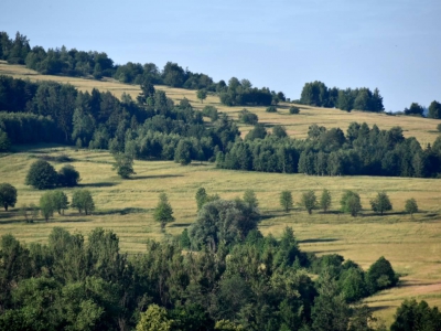 Ogólnopolskie Forum Fotografii Krajoznawczej PTTK - zdjęcie13