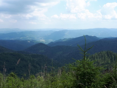 Widok z Radziejowej