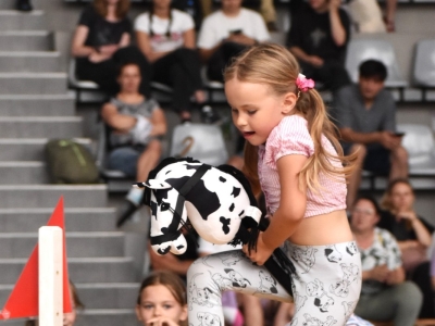 I Zawody Hobby Horse w Węgierskiej Górce - zdjęcie21