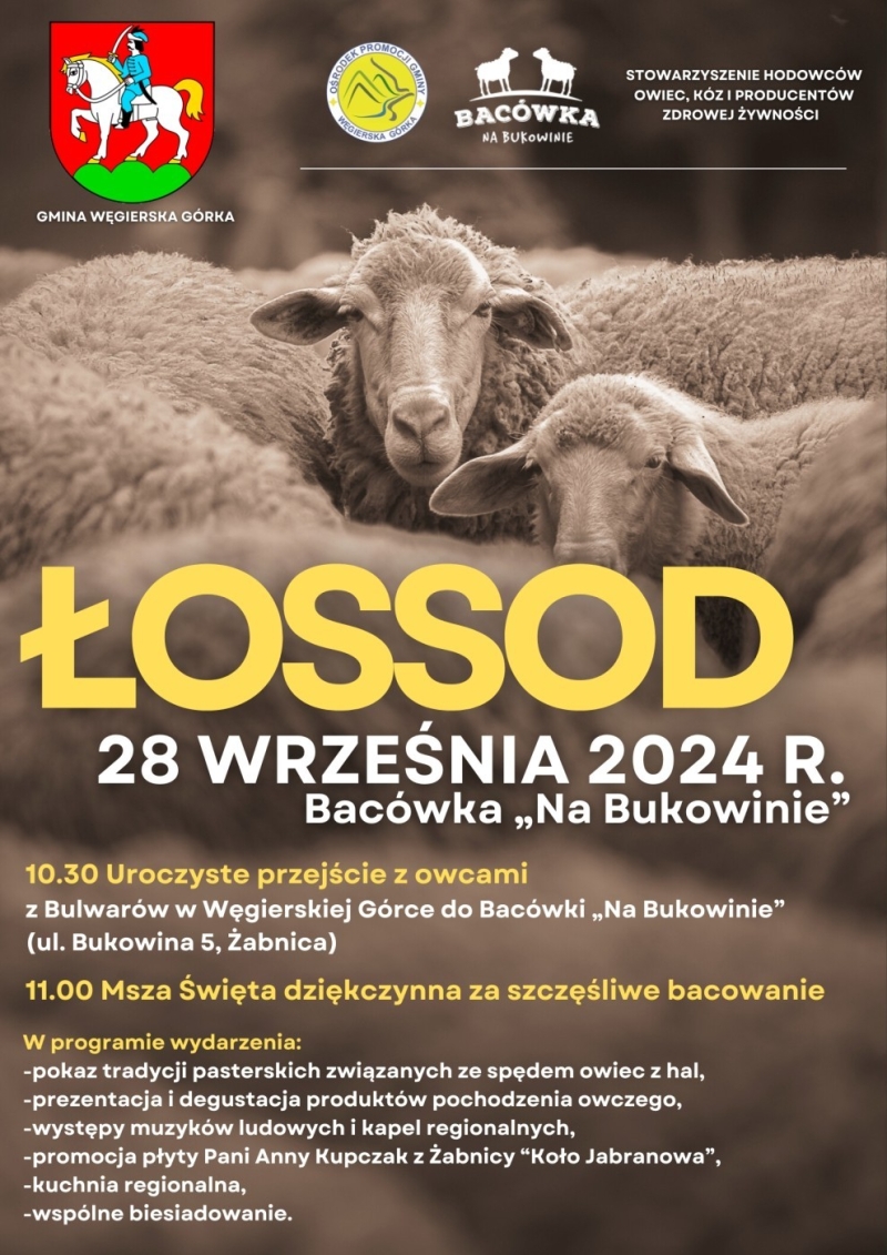 Łossod 2024